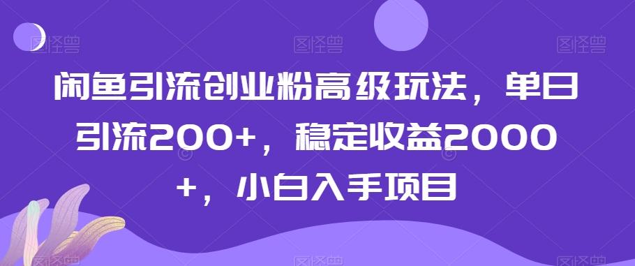 闲鱼引流创业粉高级玩法，单日引流200+，稳定收益2000+，小白入手项目-金易项目网