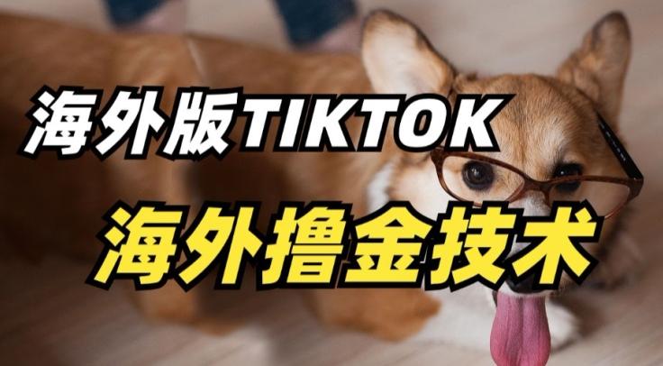 抖音海外版tiktok撸金技术，这个风口行业，赚钱真的不难【揭秘】-金易项目网