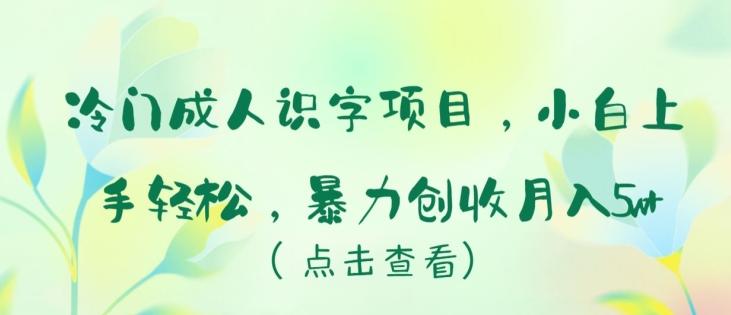 冷门成人识字项目，小白上手轻松，暴力创收月入5w+【揭秘】-金易项目网