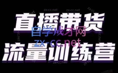 婉婉·直播带货课程系列合集(更新8月)-金易项目网