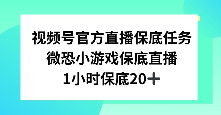 视频号直播任务，微恐小游戏，1小时20+【揭秘】-金易项目网