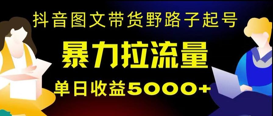 抖音图文带货暴力起号，单日收益5000+，野路子玩法，简单易上手，一部手机即可【揭秘】-金易项目网