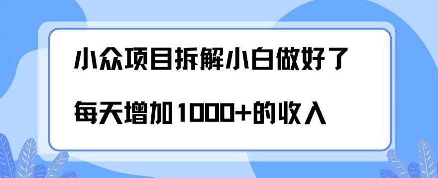 小众项目拆解，小白做好了每天可增加1000多的收入-金易项目网
