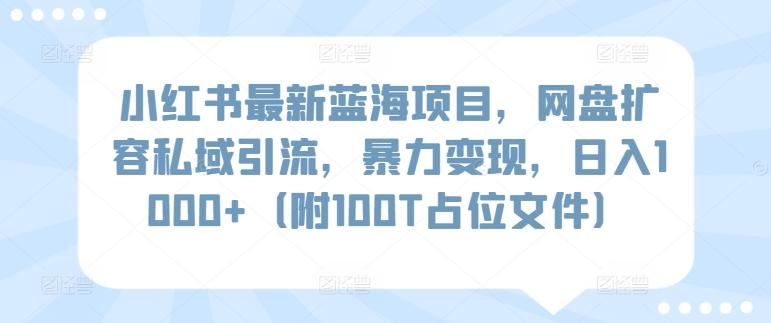 小红书最新蓝海项目，网盘扩容私域引流，暴力变现，日入1000+(附100T占位文件)【揭秘】-金易项目网
