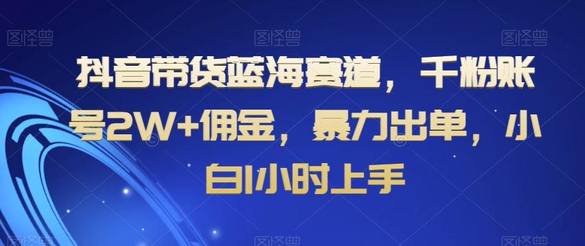 抖音带货蓝海赛道，千粉账号2W+佣金，暴力出单，小白1小时上手【揭秘】-金易项目网
