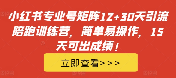 小红书专业号矩阵12+30天引流陪跑训练营，简单易操作，15天可出成绩!-金易项目网