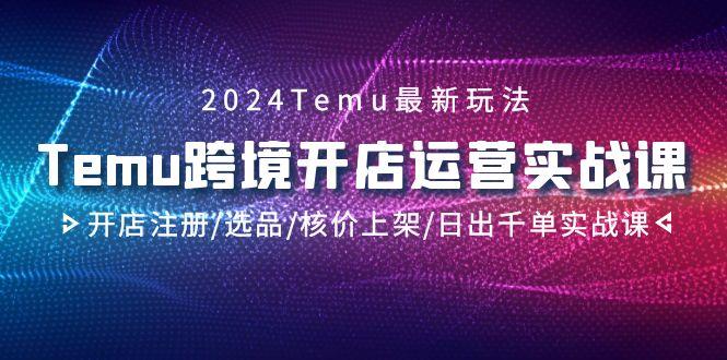 2024Temu跨境开店运营实战课，开店注册/选品/核价上架/日出千单实战课-金易项目网