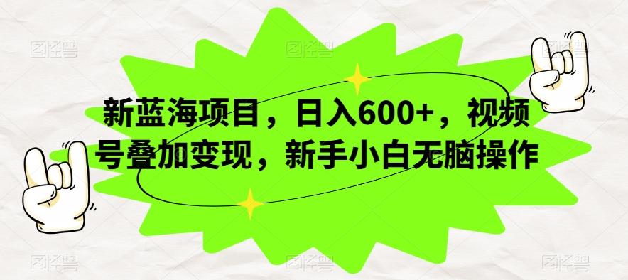 新蓝海项目，日入600+，视频号叠加变现，新手小白无脑操作【揭秘】-金易项目网