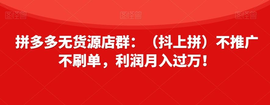 拼多多无货源店群：（抖上拼）不推广不刷单，利润月入过万！【揭秘】-金易项目网