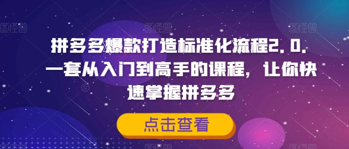 拼多多爆款打造标准化流程2.0，一套从入门到高手的课程，让你快速掌握拼多多-金易项目网