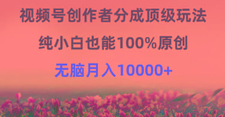 (9608期)视频号创作者分成顶级玩法，纯小白也能100%原创，无脑月入10000+-金易项目网
