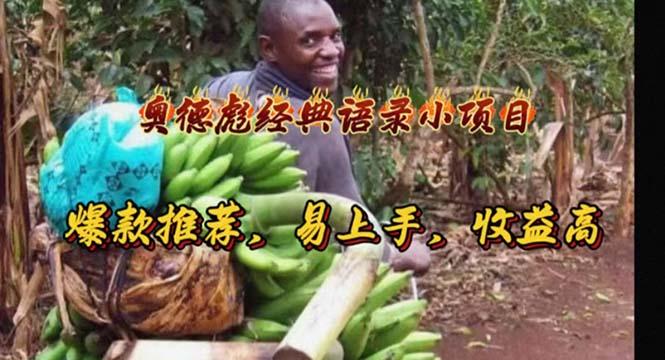 奥德彪经典语录小项目，爆款推荐，易上手，收益高-金易项目网