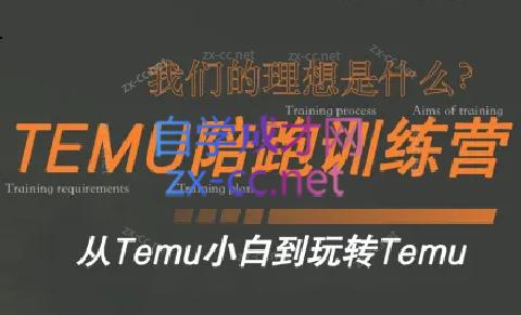 苗苗·拼多多跨境（temu）课程-金易项目网