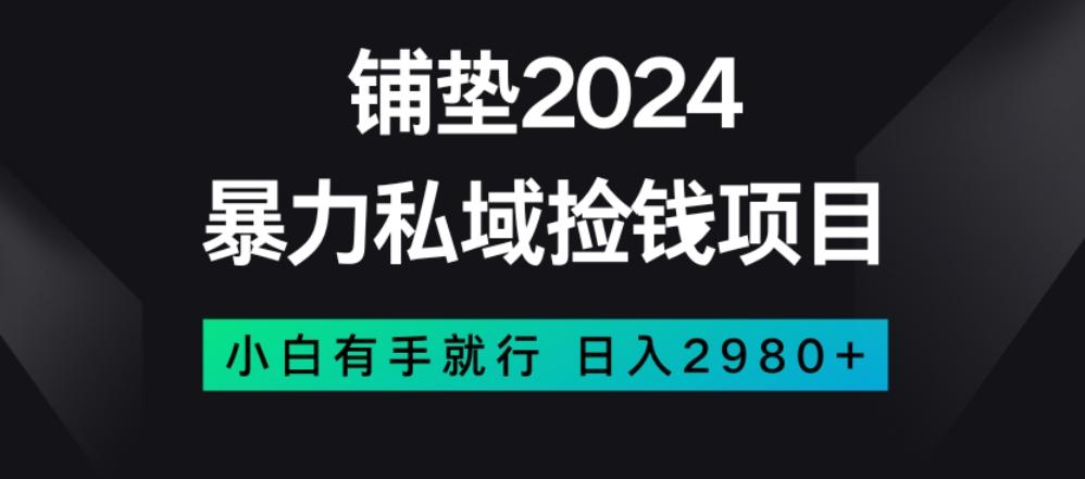 暴力私域捡钱项目，小白无脑操作，日入2980【揭秘】-金易项目网