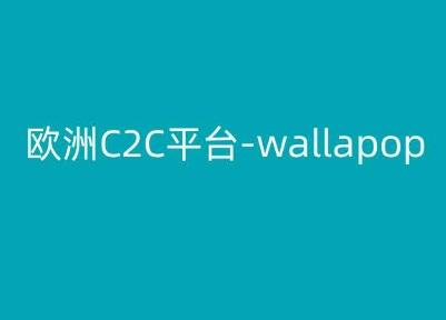 欧洲C2C平台-wallapop-kim跨境电商教程-金易项目网