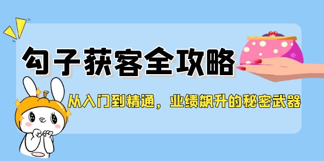 从入门到精通，勾子获客全攻略，业绩飙升的秘密武器-金易项目网