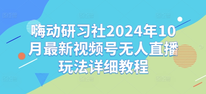 嗨动研习社2024年10月最新视频号无人直播玩法详细教程-金易项目网