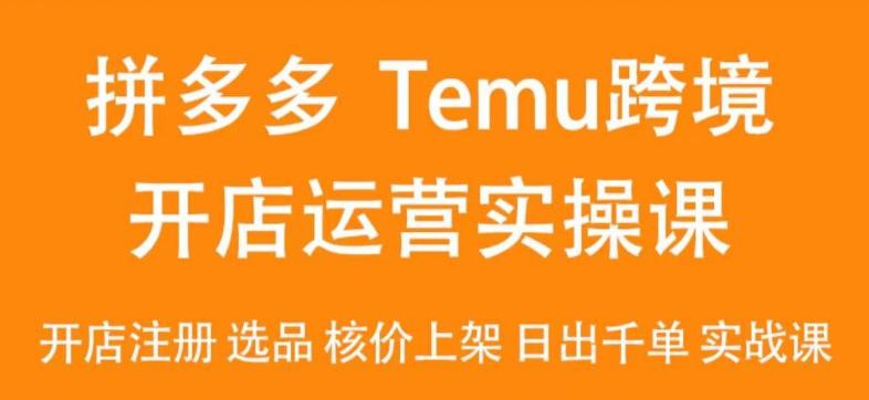 2024Temu最新玩法，Temu跨境开店运营实操课，开店注册/选品/核价上架/日出千单实战课-金易项目网