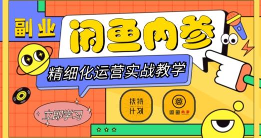 闲鱼精细化运营入门+高阶实战教学，从底层逻辑到轻松变现，多维度玩转闲鱼副业-金易项目网