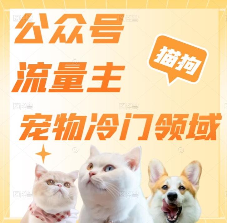 公众号流量主，萌宠冷门领域，单日收益2000+，简单暴力掘金，矩阵操作，无限放大收益！-金易项目网