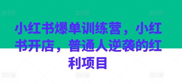 小红书爆单训练营，小红书开店，普通人逆袭的红利项目-金易项目网