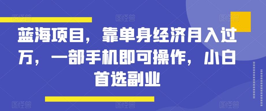 蓝海项目，靠单身经济月入过万，一部手机即可操作，小白首选副业【揭秘】-金易项目网