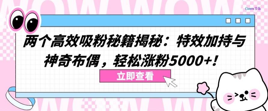 两个高效吸粉秘籍揭秘：特效加持与神奇布偶，轻松涨粉5000+【揭秘】-金易项目网
