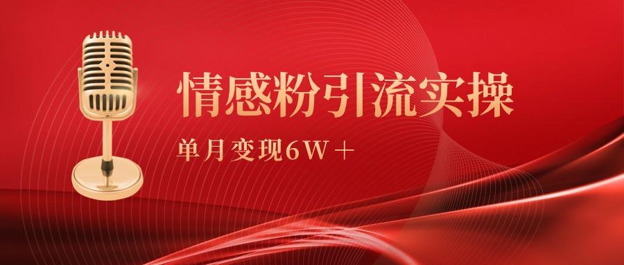 (9473期)单月变现6w+，情感粉引流变现实操课-金易项目网