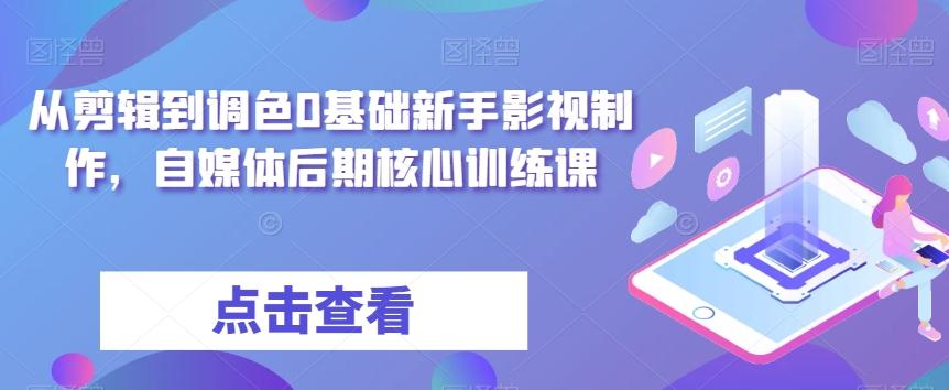 从剪辑到调色0基础新手影视制作，自媒体后期核心训练课-金易项目网