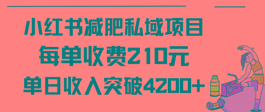 (9466期)小红书减肥私域项目每单收费210元单日成交20单，最高日入4200+-金易项目网