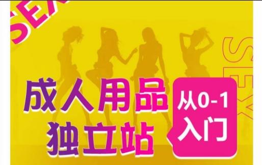成人用品独立站从0-1入门，成品独立站运营全流程教学，七大好卖成品独立站推荐-金易项目网