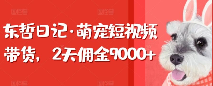 东哲日记·萌宠短视频带货，2天佣金9000+-金易项目网