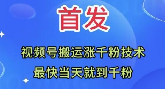 全网首发：视频号无脑搬运涨千粉技术，最快当天到千粉【揭秘】-金易项目网