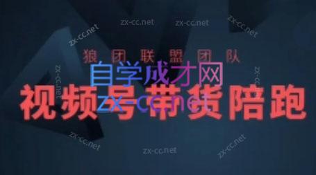 狼团联盟·2024视频号带货-金易项目网