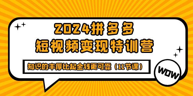 (9817期)2024拼多多短视频变现特训营，知识的丰厚比起金钱更可靠(11节课)-金易项目网