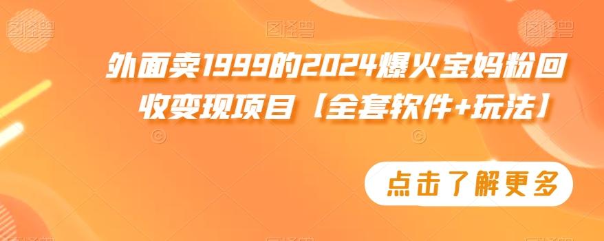 外面卖1999的2024爆火宝妈粉回收变现项目【全套软件+玩法】【揭秘】-金易项目网