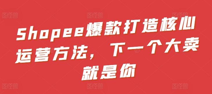 Shopee爆款打造核心运营方法，下一个大卖就是你-金易项目网