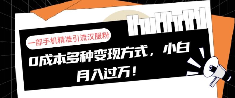 一部手机精准引流汉服粉，0成本多种变现方式，小白月入过万！-金易项目网