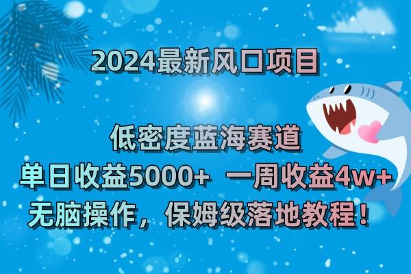 (8545期)2024最新风口项目 低密度蓝海赛道，日收益5000+周收益4w+ 无脑操作，保…-金易项目网