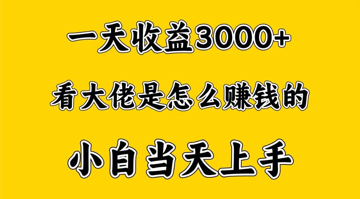 一天赚3000多，大佬是这样赚到钱的，小白当天上手，穷人翻身项目-金易项目网