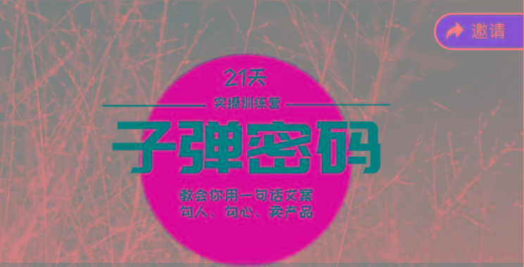 《子弹密码训练营》-用一句话文案勾人勾心卖产品，21天学到顶尖文案大师策略和技巧-金易项目网