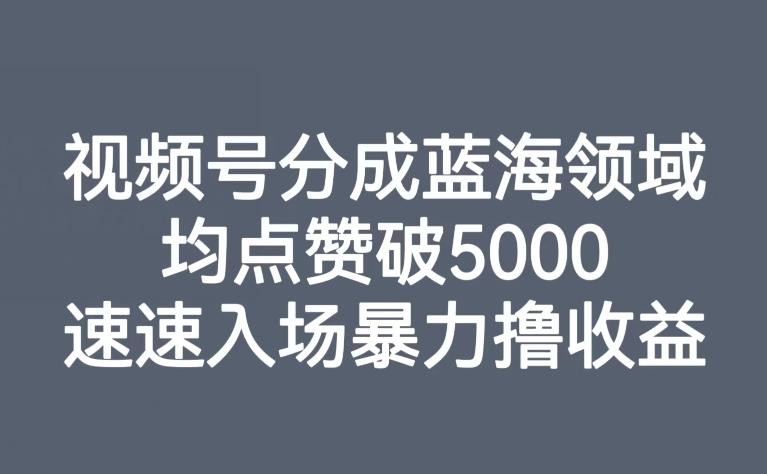 视频号分成蓝海领域，均点赞破5000，速速入场暴力撸收益-金易项目网