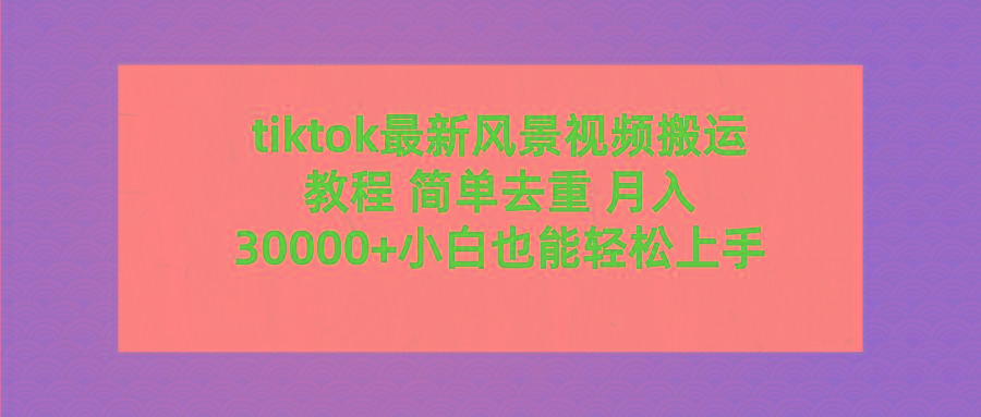 (9804期)tiktok最新风景视频搬运教程 简单去重 月入30000+附全套工具-金易项目网