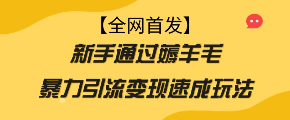 【全网首发】新手通过薅羊毛暴力引流变现速成玩法-金易项目网