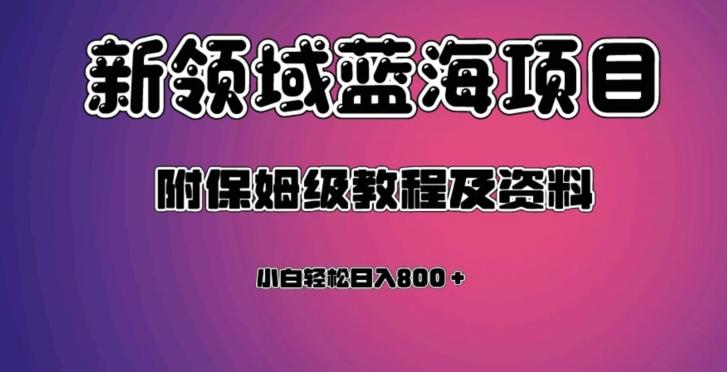 虚拟资源蓝海领域新项目，轻松日入800＋，附保姆级教程及资料-金易项目网