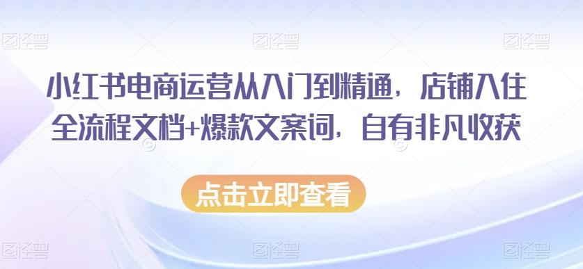 小红书电商运营从入门到精通，店铺入住全流程文档+爆款文案词，自有非凡收获-金易项目网