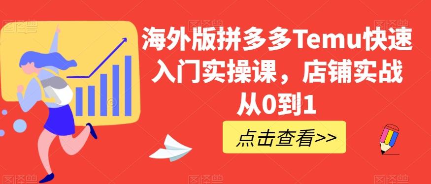 海外版拼多多Temu快速入门实操课，店铺实战从0到1-金易项目网