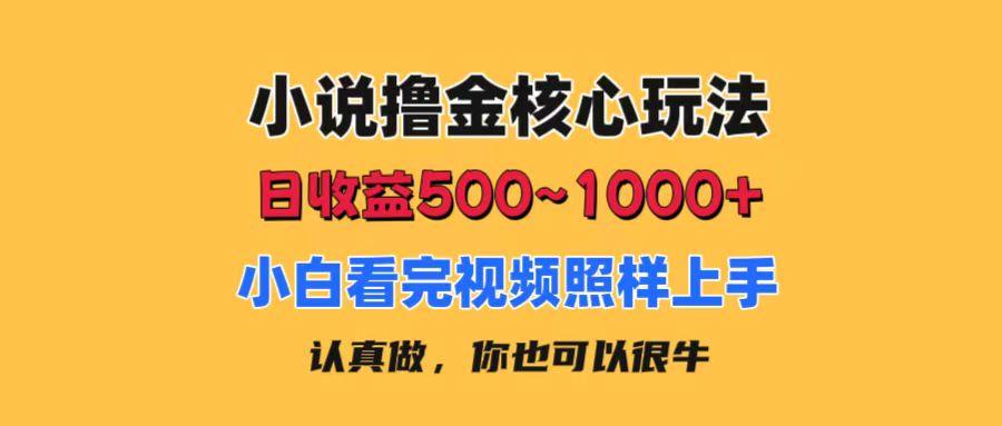 小说撸金核心玩法，日收益500-1000+，小白看完照样上手，0成本有手就行-金易项目网