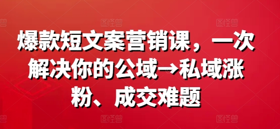 爆款短文案营销课，一次解决你的公域→私域涨粉、成交难题-金易项目网