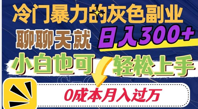 冷门暴利的副业项目，聊聊天就能日入300+，0成本月入过万【揭秘】-金易项目网